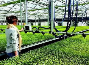 科技賦能現(xiàn)代農(nóng)業(yè) 環(huán)保技術(shù)推動(dòng)可持續(xù)發(fā)展新路徑